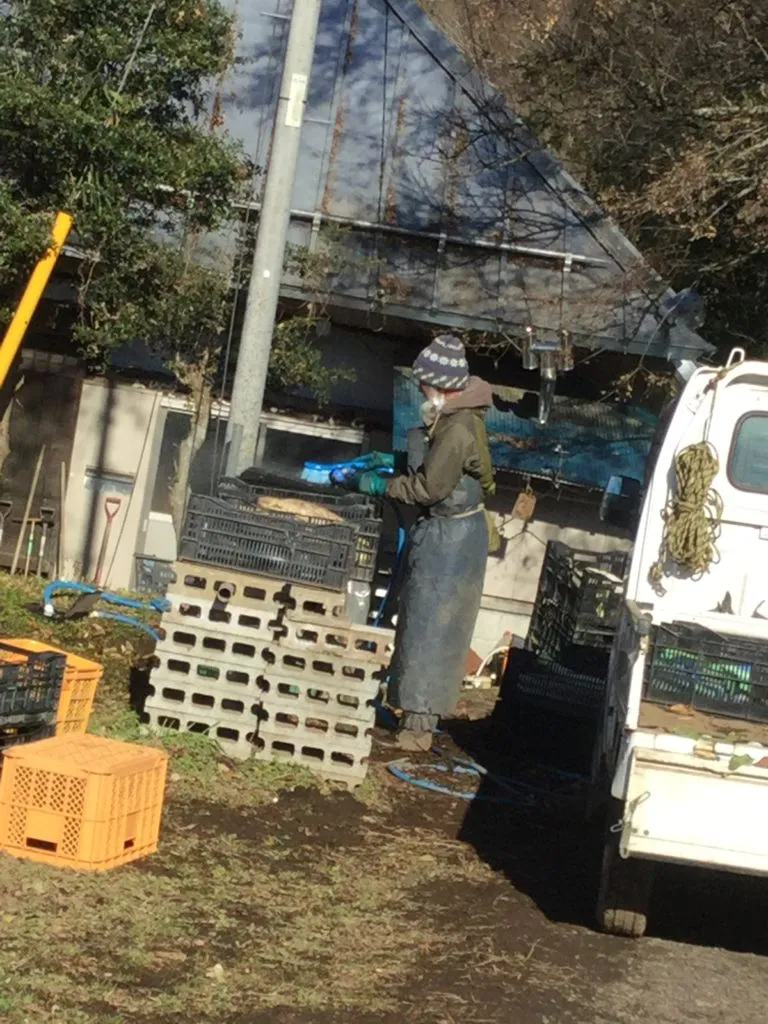 農園からの写真