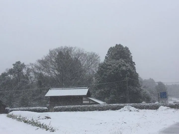 農園からの写真