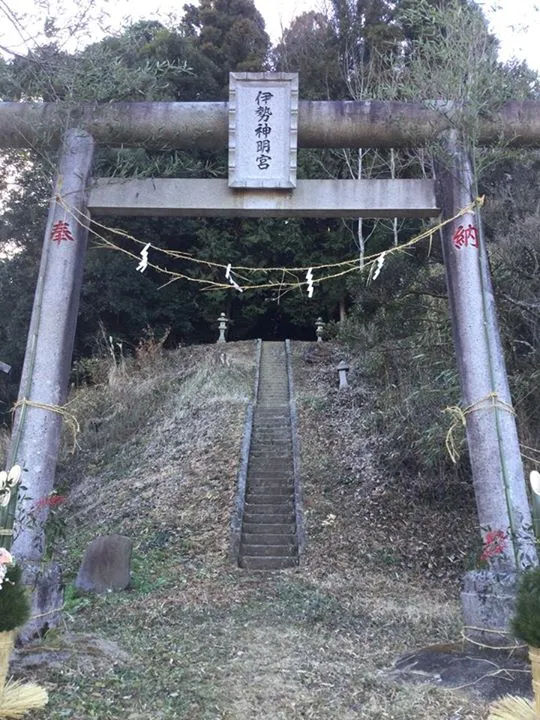 農園からの写真