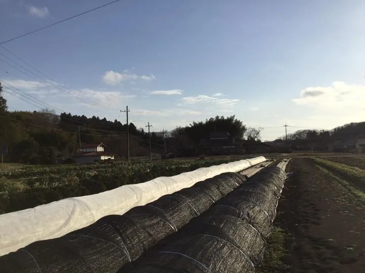 農園からの写真