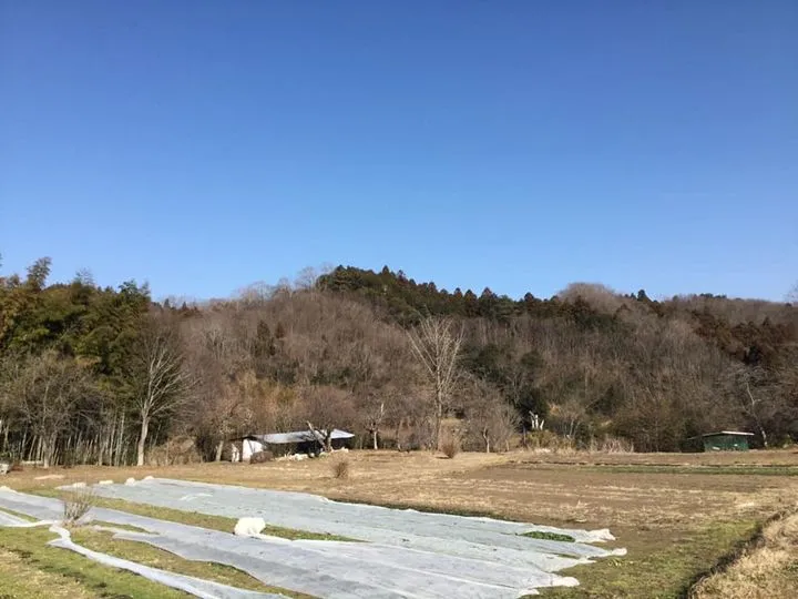 農園からの写真