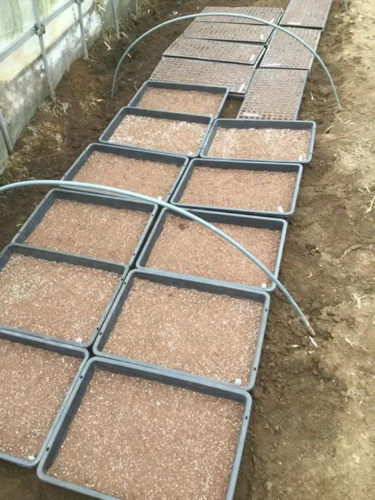 農園からの写真