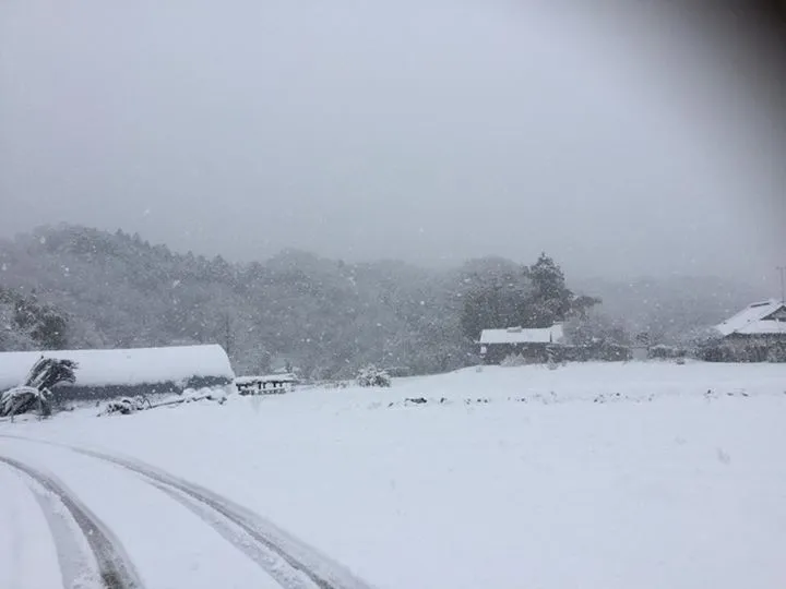 農園からの写真
