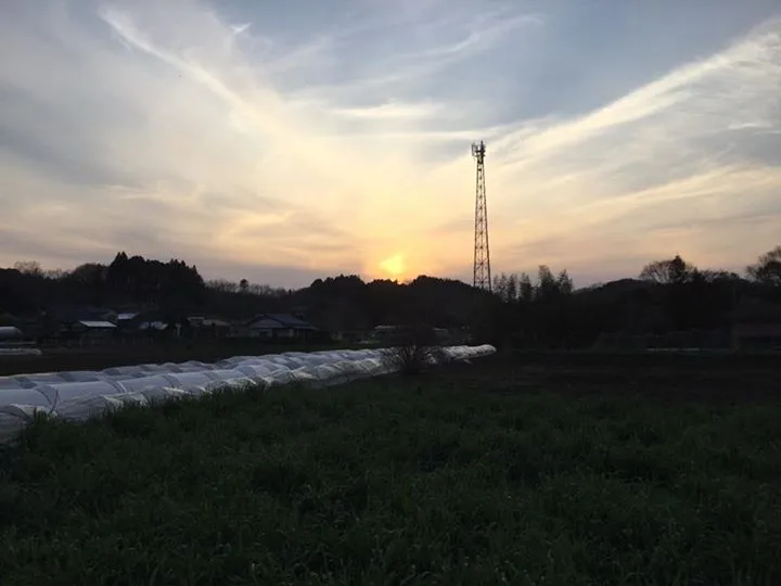 農園からの写真