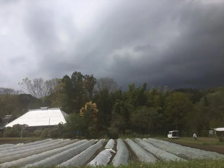 農園からの写真