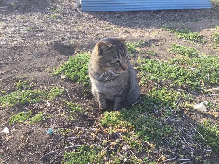 農園からの写真