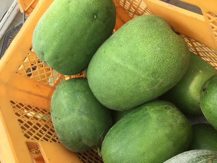 農園からの写真