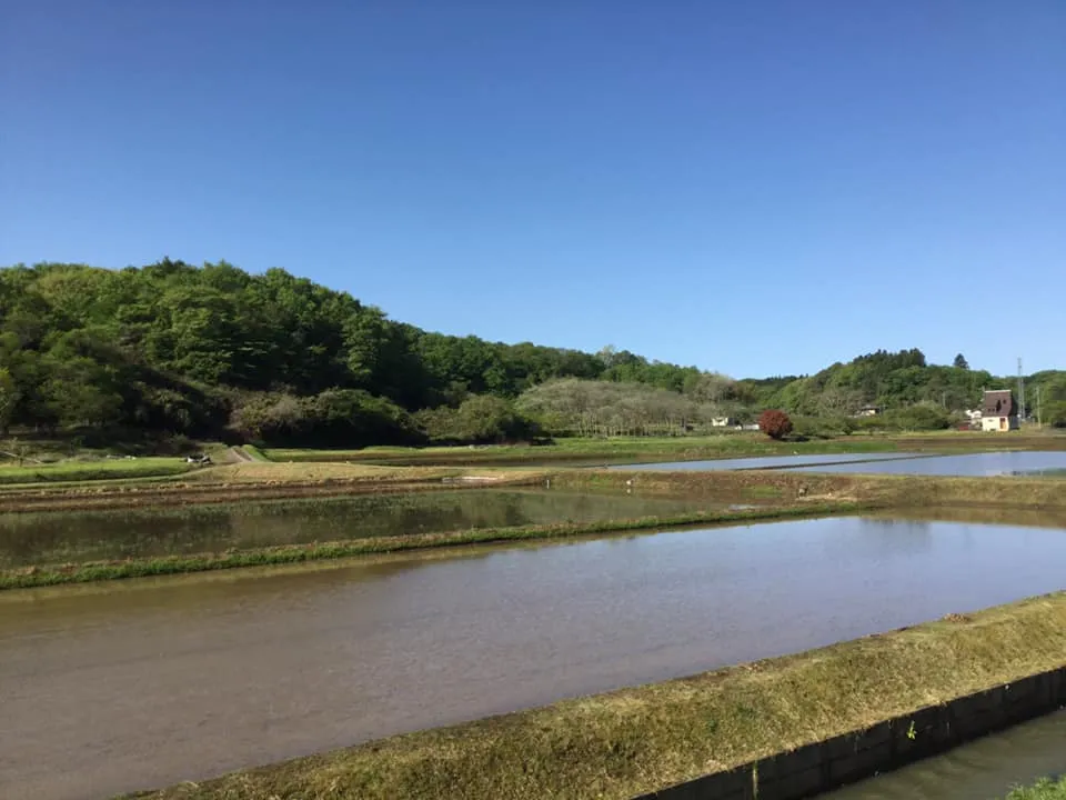 農園からの写真