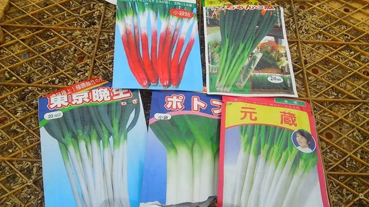 農園からの写真