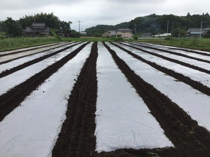 農園からの写真
