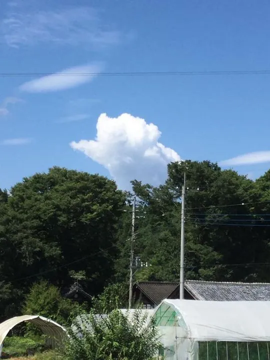 農園からの写真
