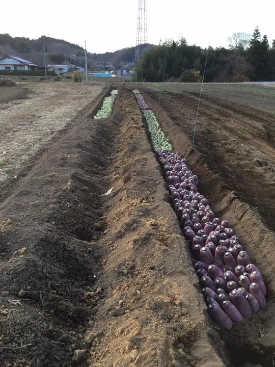 農園からの写真