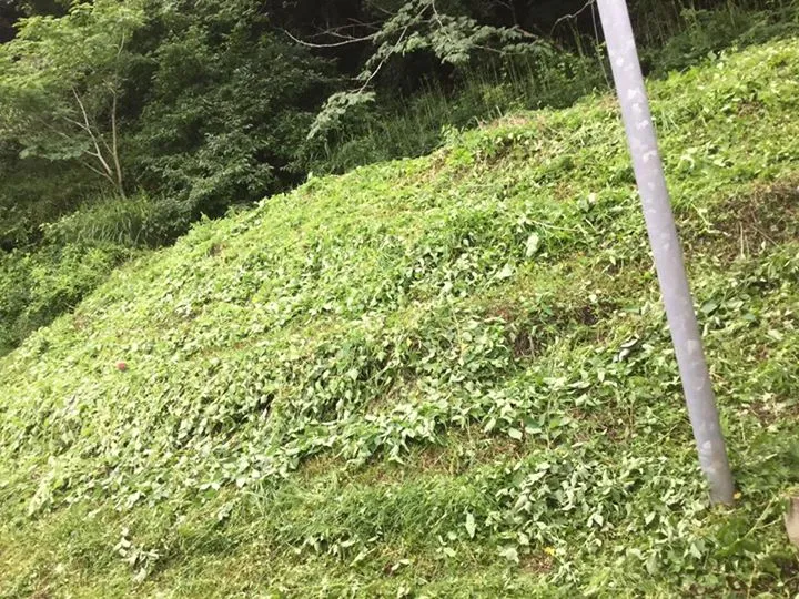 農園からの写真