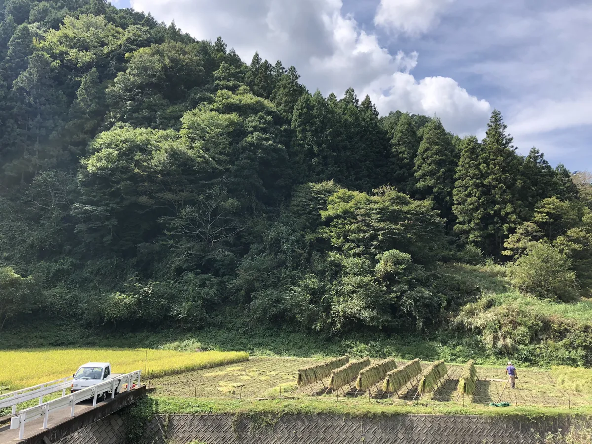 農園からの写真