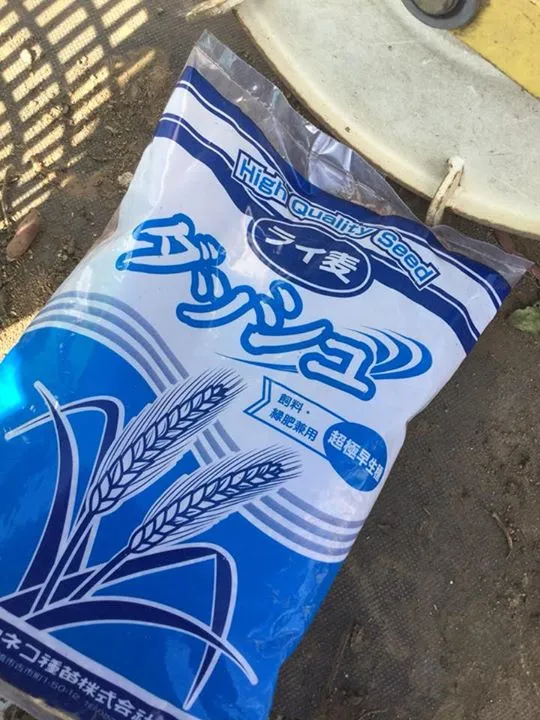 農園からの写真