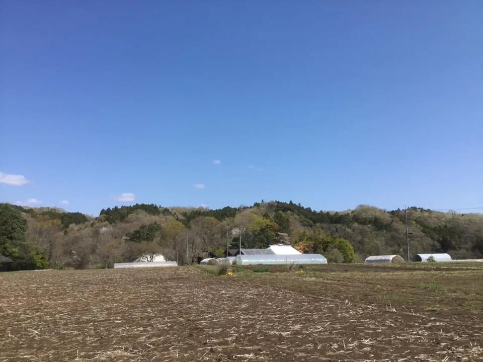 農園からの写真