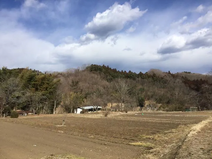 農園からの写真