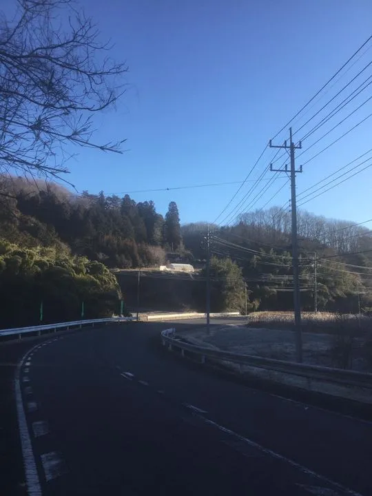 農園からの写真