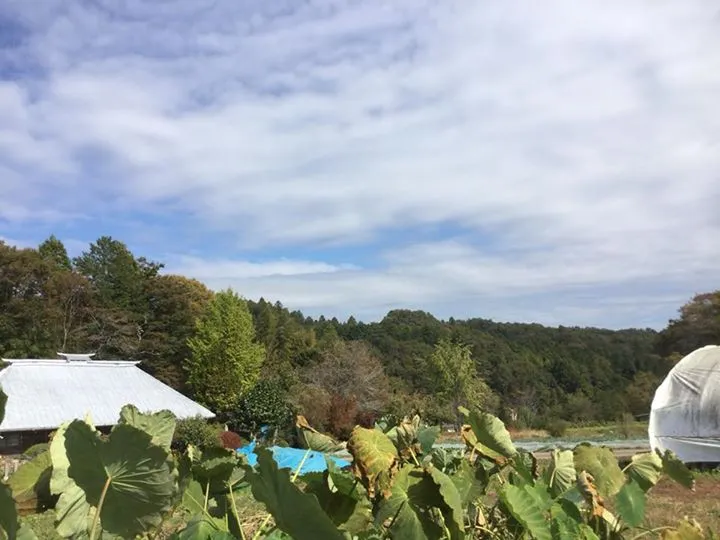 農園からの写真