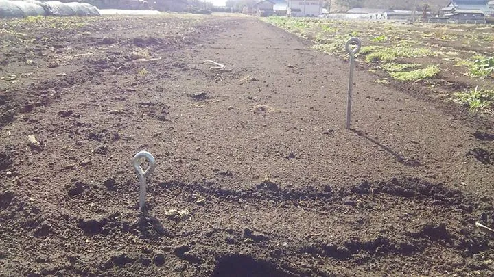 農園からの写真