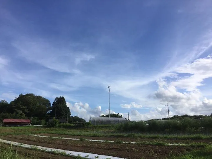 農園からの写真