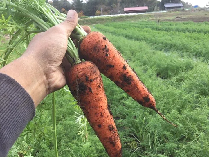 農園からの写真