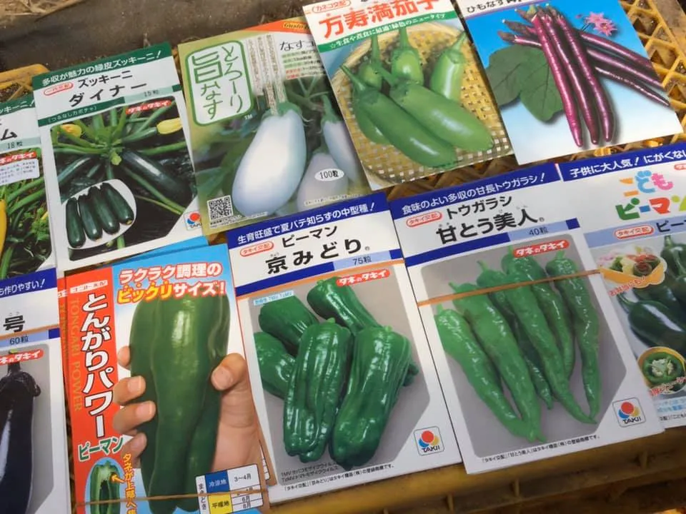 農園からの写真