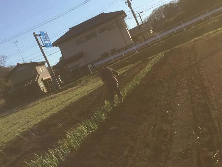 農園からの写真