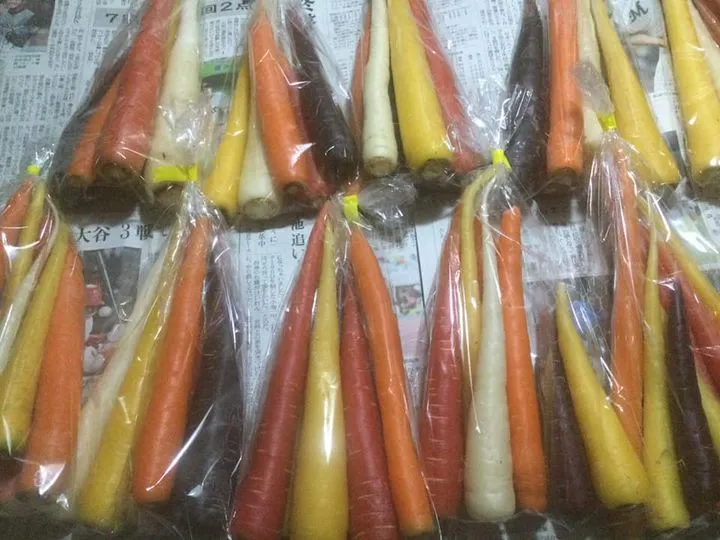 農園からの写真