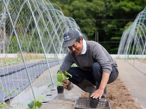 季節の野菜をしっかり美味しく
